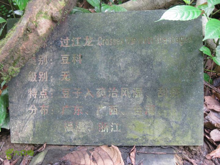 2012-9-27南宁通灵瀑布步行IMG_0249
