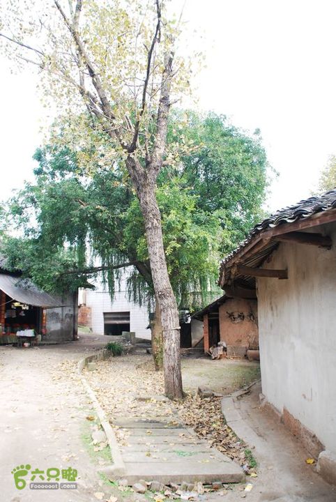 成都 郫县至洛带古镇nEO_IMG_DSC_9983