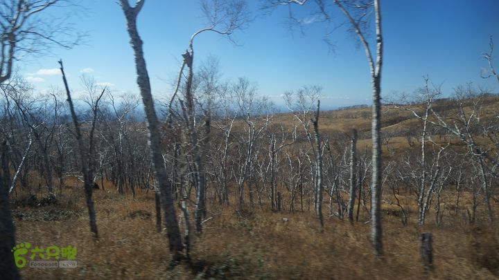 长白山天池（西坡）DSC04142