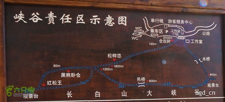 长白山天池（西坡）DSC04157