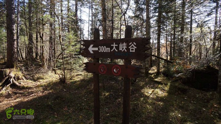 长白山天池（西坡）DSC04163