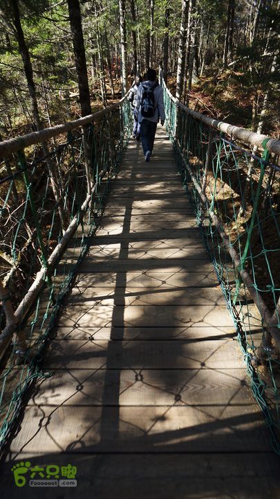 长白山天池（西坡）DSC04201