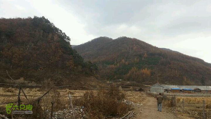 辽宁乡下垃子沟