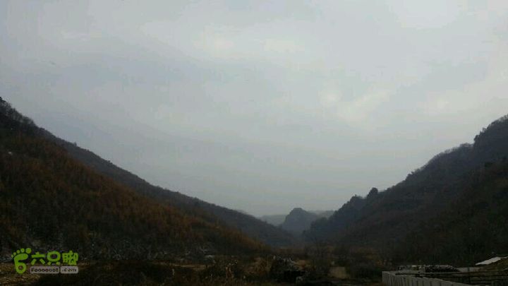 辽宁乡下蜂蜜垃子