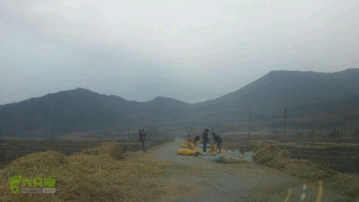 辽宁乡下2012-10-31 15:14:45