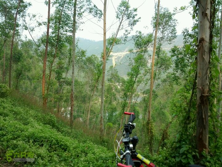 广东鹤山四堡水库穿越到粉洞20