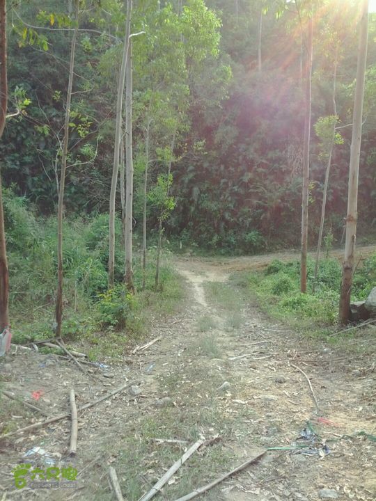 广东鹤山四堡水库穿越到粉洞22