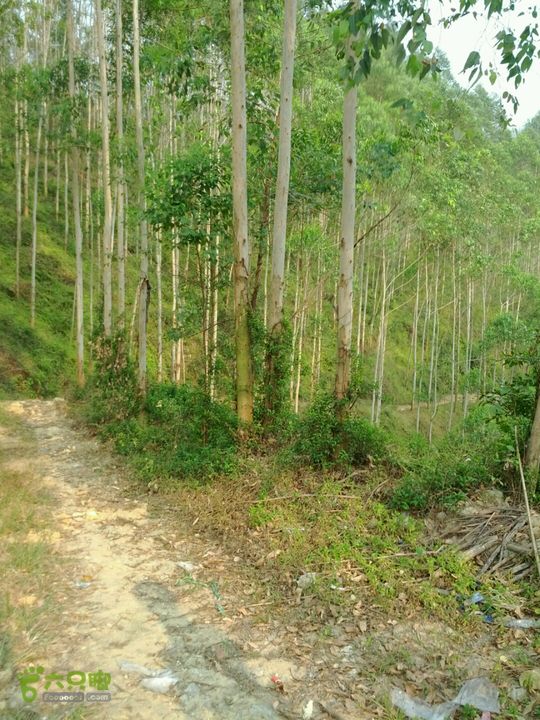 广东鹤山四堡水库穿越到粉洞23