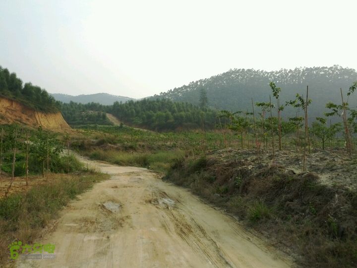 广东鹤山四堡水库穿越到粉洞27