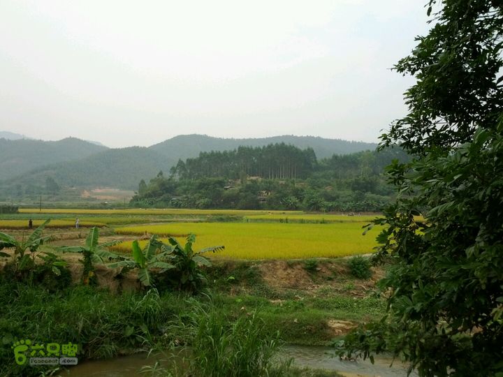 广东鹤山四堡水库穿越到粉洞37