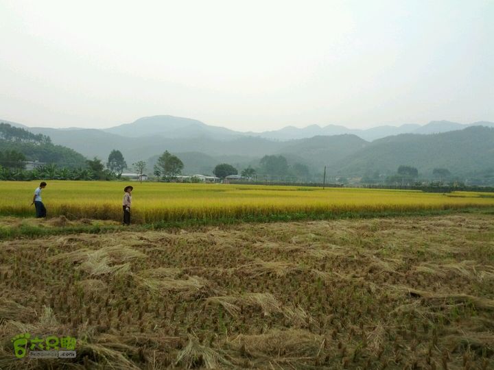 广东鹤山四堡水库穿越到粉洞39