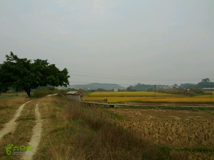 广东鹤山四堡水库穿越到粉洞33