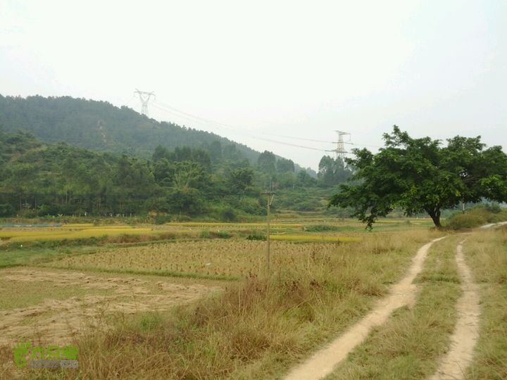 广东鹤山四堡水库穿越到粉洞36