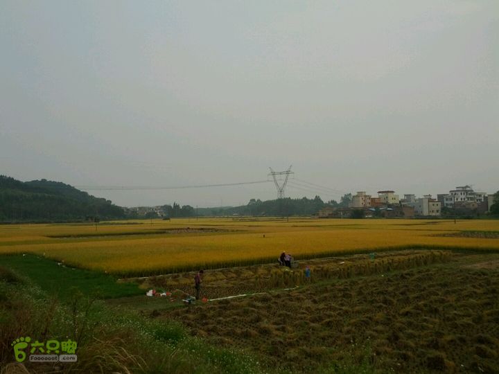 广东鹤山四堡水库穿越到粉洞38