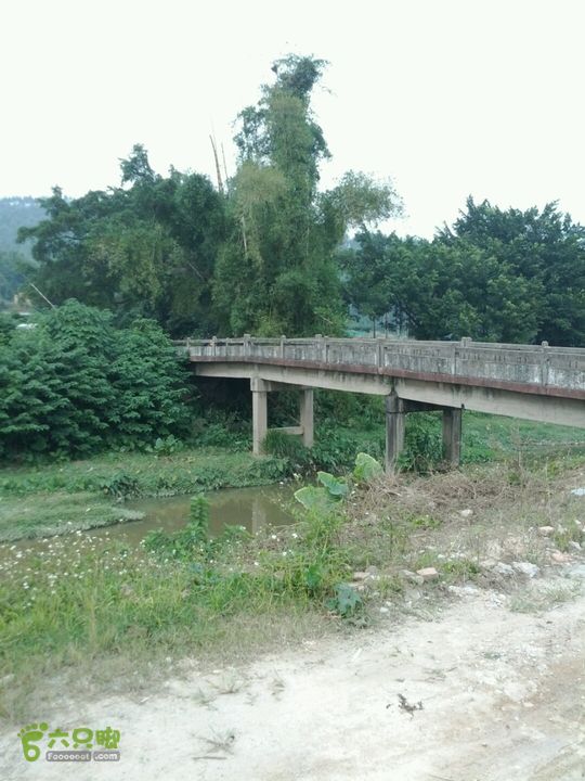 广东鹤山四堡水库穿越到粉洞39