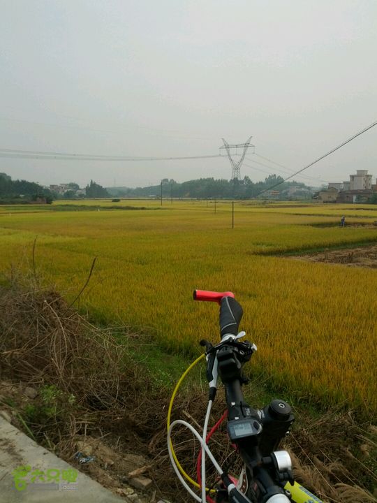 广东鹤山四堡水库穿越到粉洞41