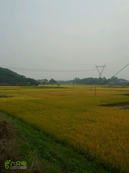 广东鹤山四堡水库穿越到粉洞42