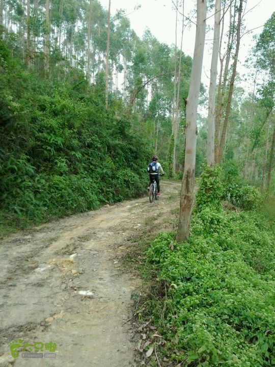 广东鹤山四堡水库穿越到粉洞22