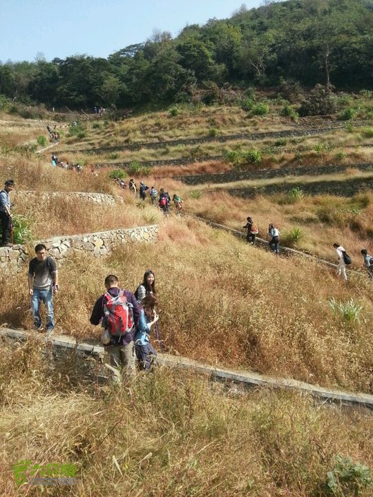天童寺—九峰山防火道路
