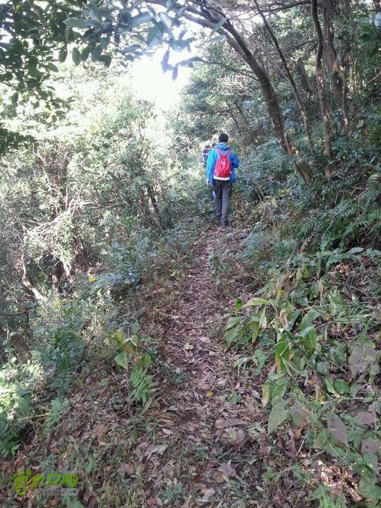 天童寺—九峰山防火道路