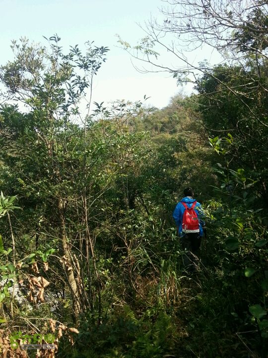天童寺—九峰山防火道路