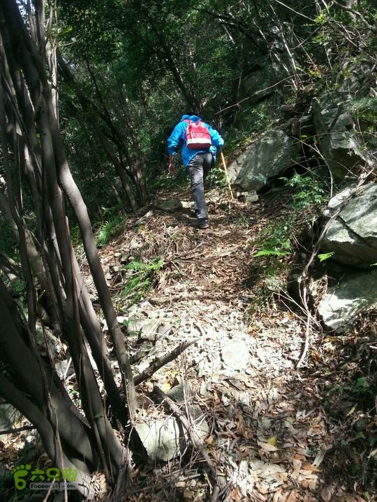 天童寺—九峰山防火道2012-11-04 12:28:27