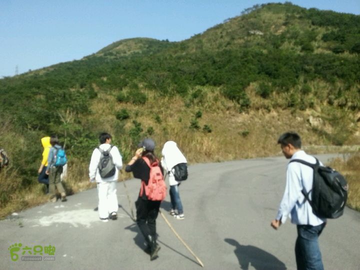 天童寺—九峰山防火道上防火道的口子