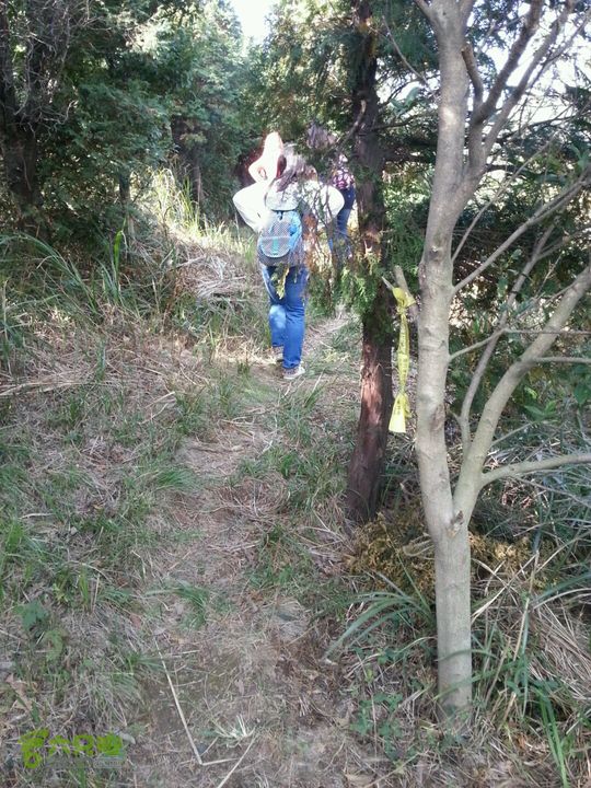 天童寺—九峰山防火道2012-11-04 12:56:22