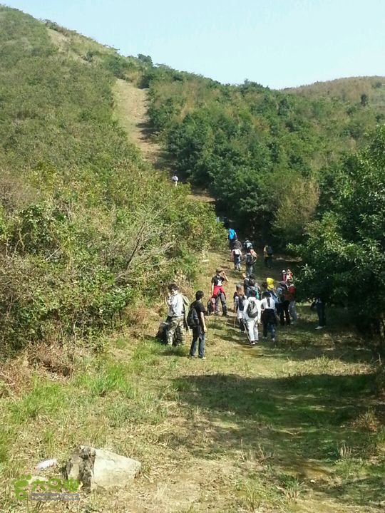 天童寺—九峰山防火道上坡前