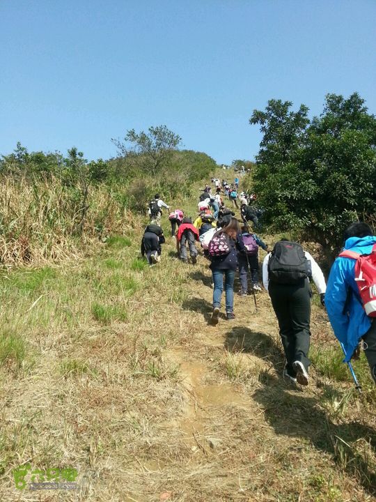 天童寺—九峰山防火道路上