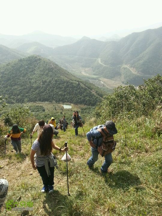 天童寺—九峰山防火道2012-11-04 13:12:20
