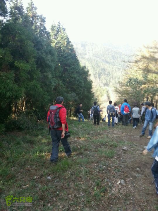 天童寺—九峰山防火道下坡