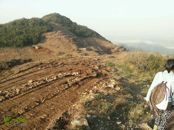 天童寺—九峰山防火道被破坏的