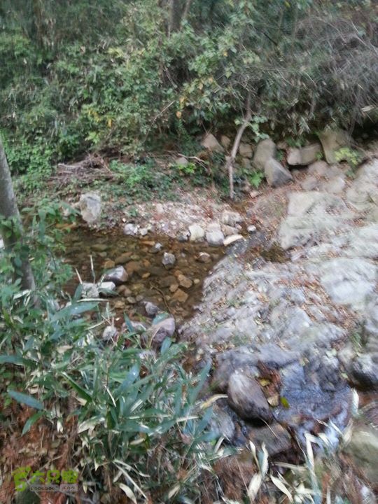 天童寺—九峰山防火道下山路