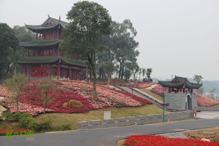 宜春花博园赏花IMG_0875