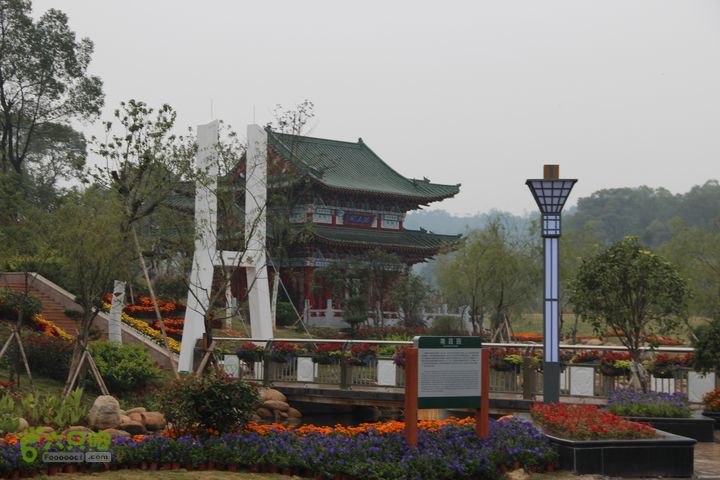 宜春花博园赏花IMG_0876
