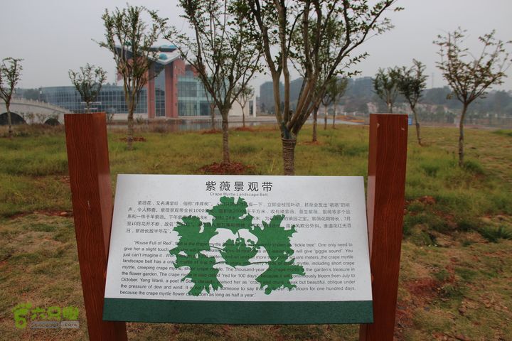 宜春花博园赏花IMG_0880