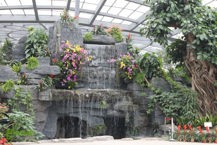 宜春花博园赏花IMG_0881