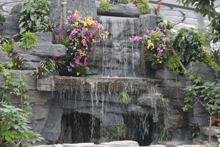 宜春花博园赏花IMG_0882