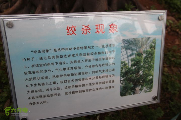 宜春花博园赏花IMG_0903