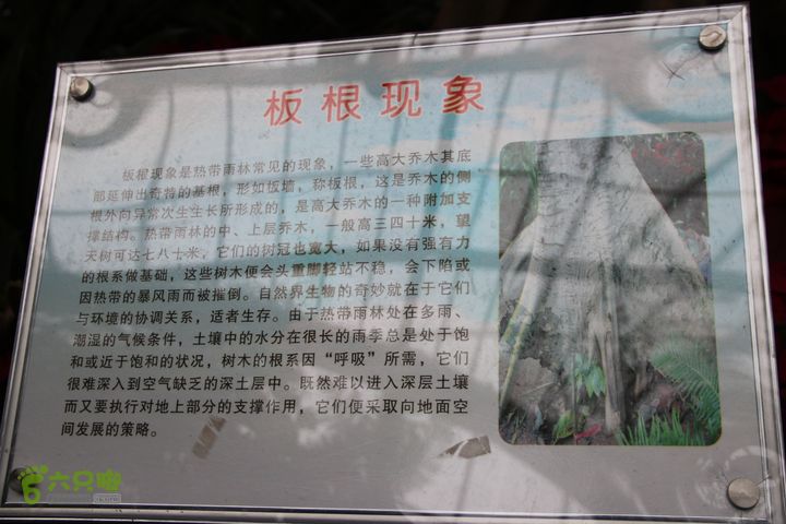 宜春花博园赏花IMG_0918