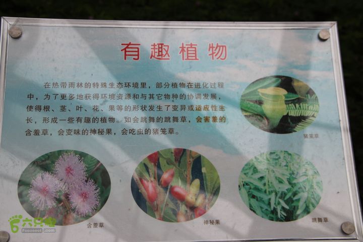 宜春花博园赏花IMG_0931