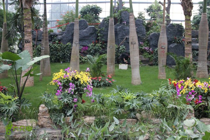 宜春花博园赏花IMG_0943