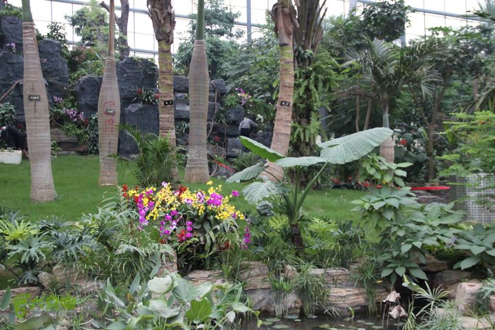 宜春花博园赏花IMG_0944