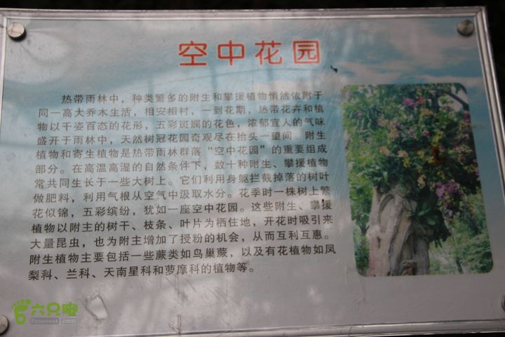 宜春花博园赏花IMG_0969