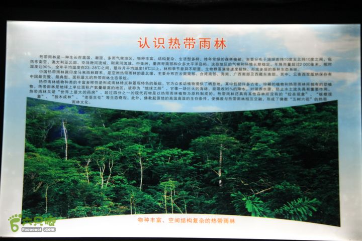 宜春花博园赏花IMG_0983