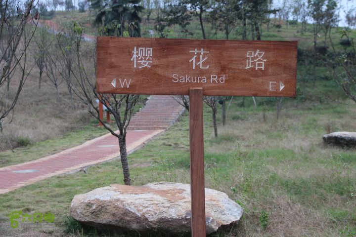宜春花博园赏花IMG_0992