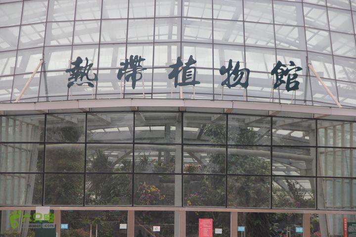 宜春花博园赏花IMG_0994