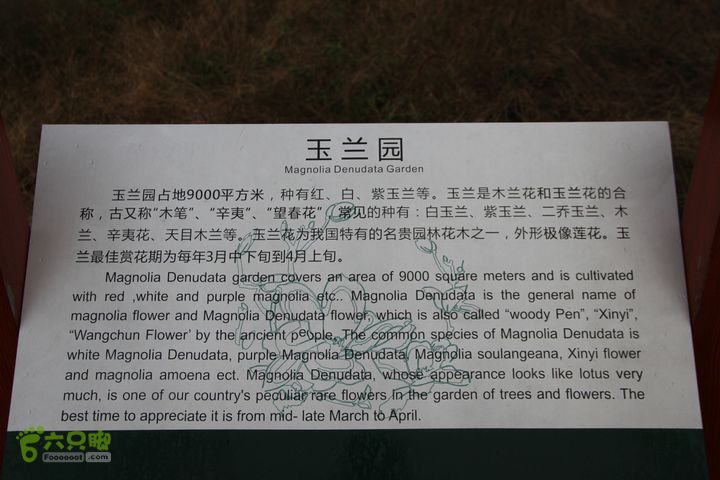 宜春花博园赏花IMG_0995