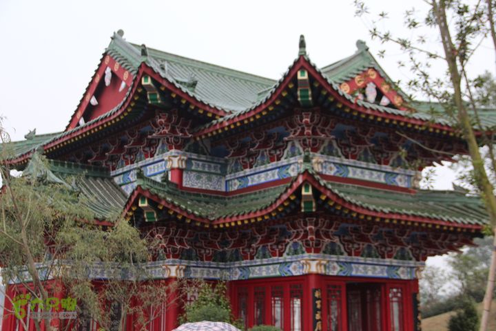 宜春花博园赏花IMG_1002